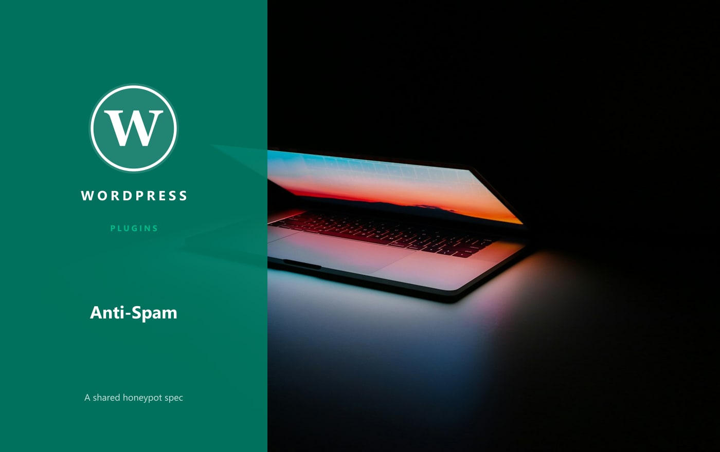 Anti-Spam Plugins Share a Common Honeypot Spec